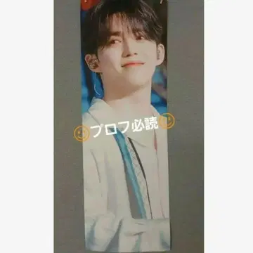 에스크 슬로건 승철 세븐틴