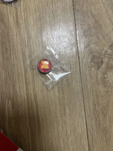 엑스포 아시아 핀 배지
