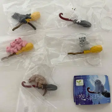 하늘을 나는 빗자루 전 5종 컴플리트