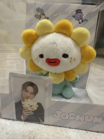 jochum 빌라 봉제 인형 사토 케이코 포토 카드 포함