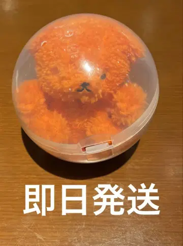 토아이 씨 가챠가챠 허그 베어 오렌지 애니메이트