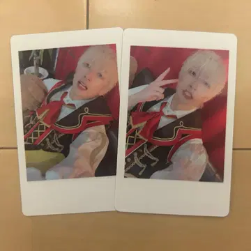 팬더 드래곤 파라곤 하피카 요타