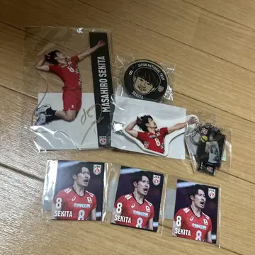 세키타 세이타 세트