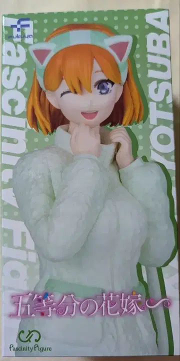 fascinity figure 네잎 고양이 귀 후드티