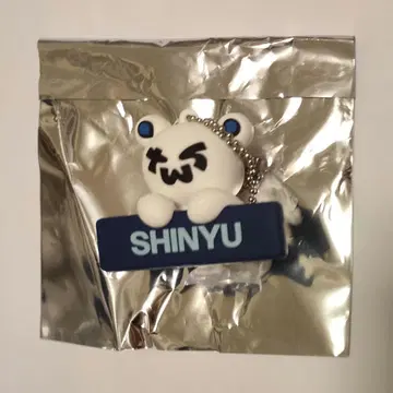 TWS 시뉴 SHINYU 베어 키링
