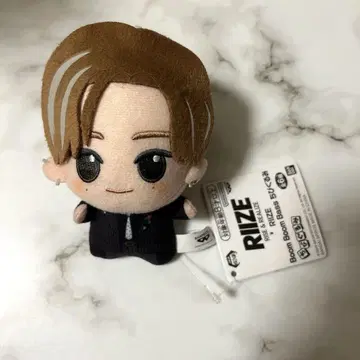 RIIZE 앤톤 SD 인형