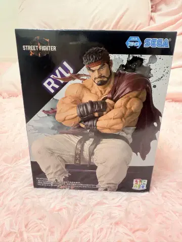 배송비 포함! STREET FIGHTER 류 피규어