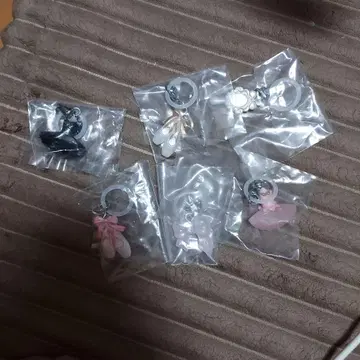 발레 모티브 메지루시 참