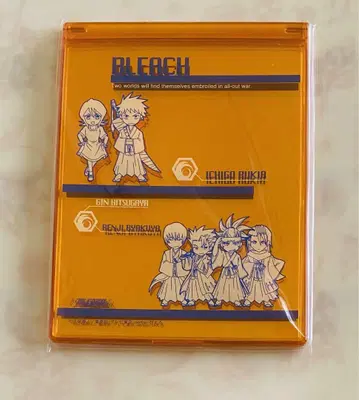 BLEACH 거울 이치마루 긴 히즈카야 토시로 후목 시로 루키아
