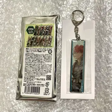 히로아카 전 나의 히어로 아카데미아 전 원화전 토도로키 쇼토 메탈 키링