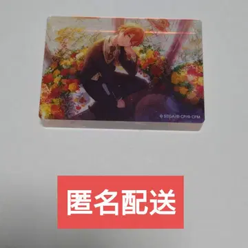 프로세카 노블 아트 아키토 준 브라