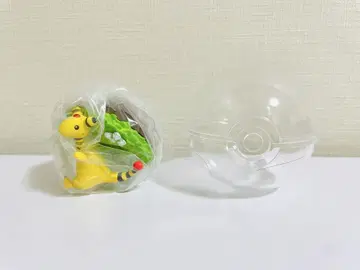 포켓몬 리멘트 테라리움 컬렉션 5 덴류