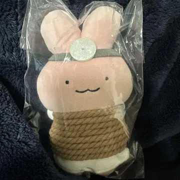 화이트 타이거와 블랙 타이거 마스코트 (도망가는 토끼 선생님)