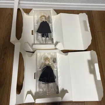 ruruko 바스켓에 새 2마리 세트