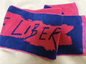 교모토 다이가 BLUE OF LIBERTY 머플러 타월