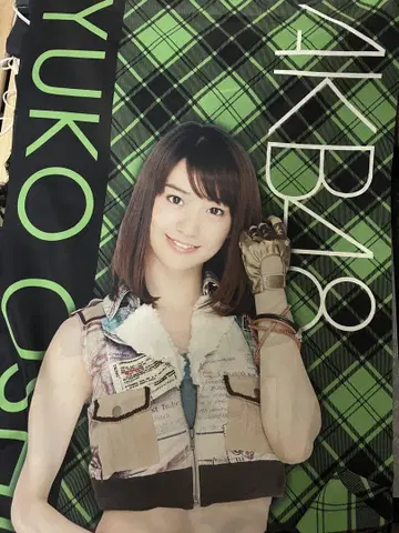 전 AKB48 오시마 유코 전신 태피스트리 등신대
