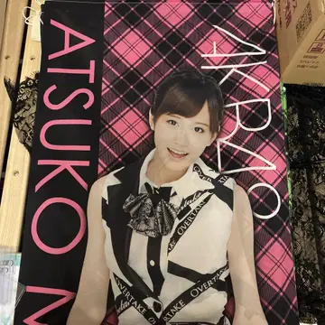전 AKB48 마에다 아츠코 전신 태피스트리 등신대