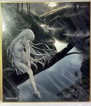 나루세 시로하 색지 Summer Pockets 사마포케