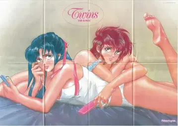 카도카와 서점 Newtype 별책 부록 수신 라이거 포스터 9003