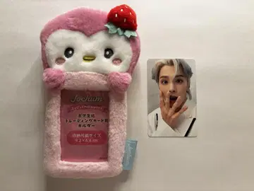 제오참 트레이딩 카드 케이스 포포