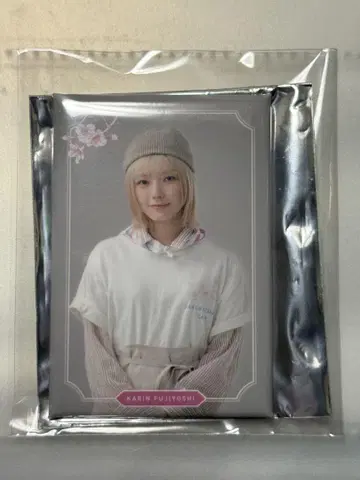 사쿠라자카 카페 후지요시 카린 마그넷