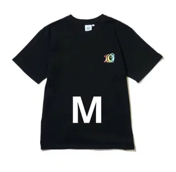 미세스 FJORD 피요르드 기념일 티셔츠 블랙 M 사이즈
