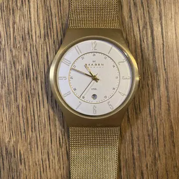 가격 인하! [새상품급] SKAGEN 손목시계