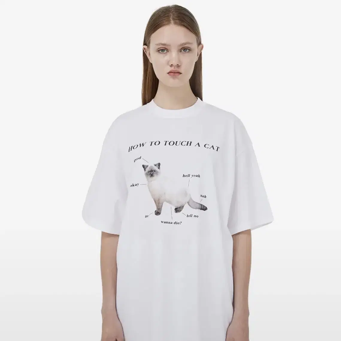 itzavibe] Cat Guide T-shirt on Bunjang Global Site.