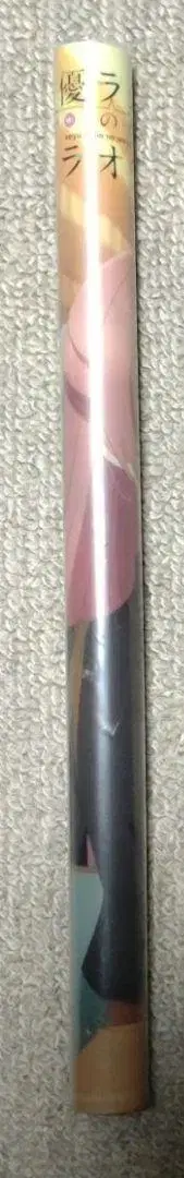 성우 라디오의 뒷면 포스터