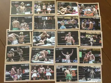 복권 플라 RIZIN 남자 축제 D상 공식 사진 스티커 전종 세트 20장