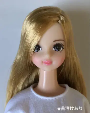 리카짱 캐슬 사야카 (27cm)