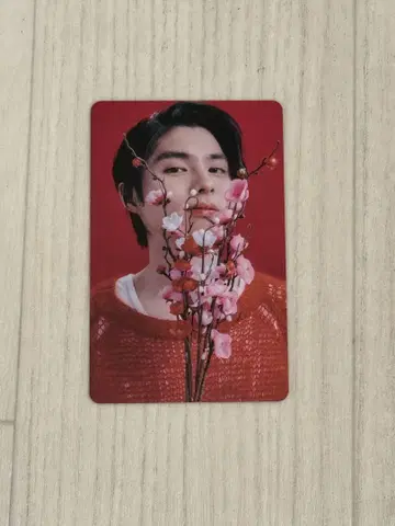 혼다 키요야 트레이딩 카드