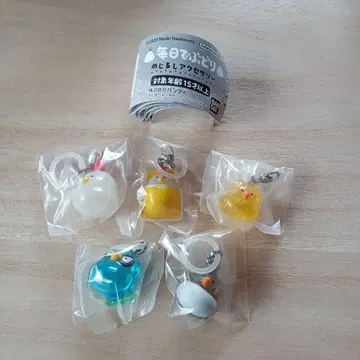 매일 데부도리 메지루시 액세서리