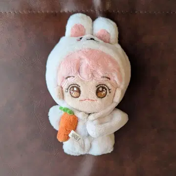 NCT DREAM 제민 토끼 후드 봉제 인형 덕질