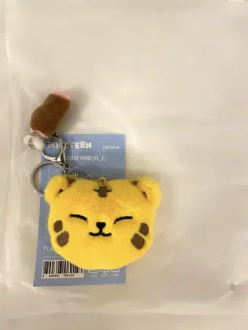 SEVENTEEN 호시 MINITEEN 팝업 키링