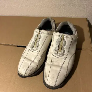 FOOT joy 골프화 27cm