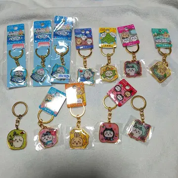 치이카와 (먼작귀) 지역 키링 모음