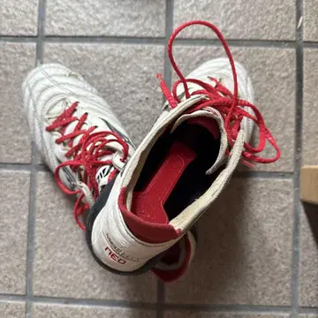 모렐리아 네오 3 morelia neo 3 24.5