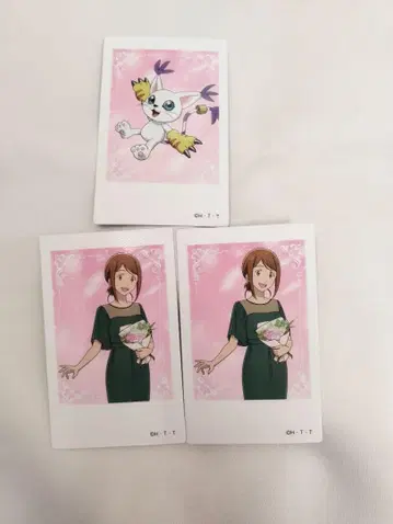 디지몬 02 마루이포라 샷 컬렉션 3장 야가미 이슬이(히카리) 테일몬