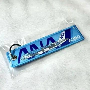 ANA A380 플라잉 호누 1호기 플라이트 택
