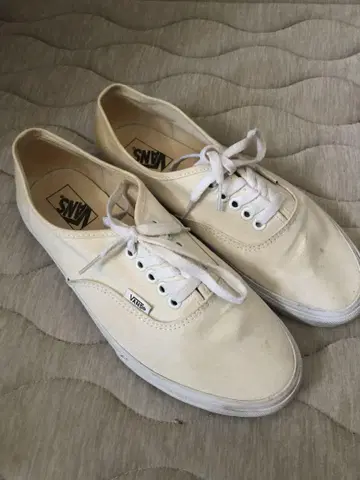 VANS 오센틱 크림 화이트 펠트