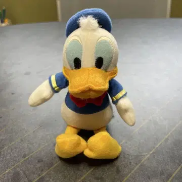 늘리면 길이 16cm, 가로 길이 6cm입니다.