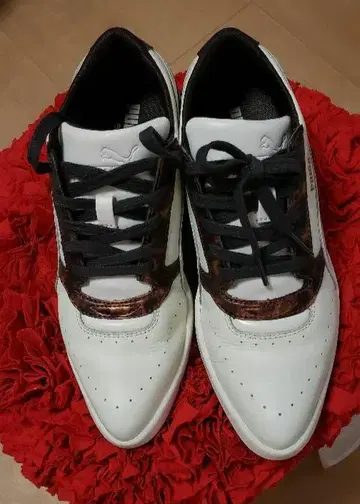 새상품 PUMA 푸마 23.5cm