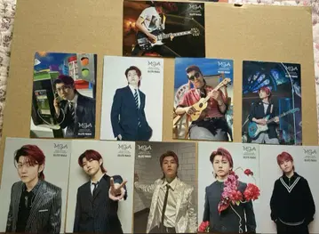 Mrs.GREEN APPLE MGA 포토 카드 와카이 코토 10장 세트