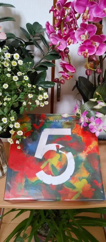 Mrs. GREEN APPLE 5 완전 생산 한정판 박스