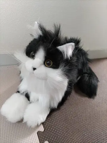 검은 고양이 고양이 리얼 봉제 인형