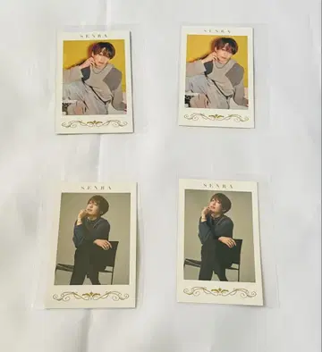 센라 폴라로이드