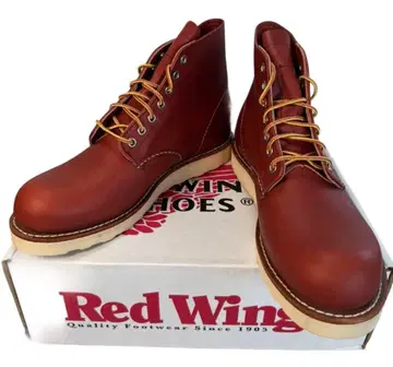 REDWING 8166 6인치 클래식 라운드 개 태그 US9 새상품
