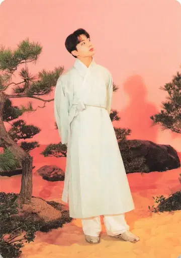 BTS DALMAJUNG JUNG KOOK 미니 포토 카드 49/56