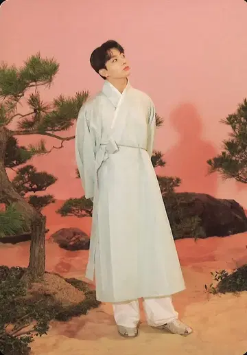 BTS DALMAJUNG JUNG KOOK 미니 포토 카드 49/56